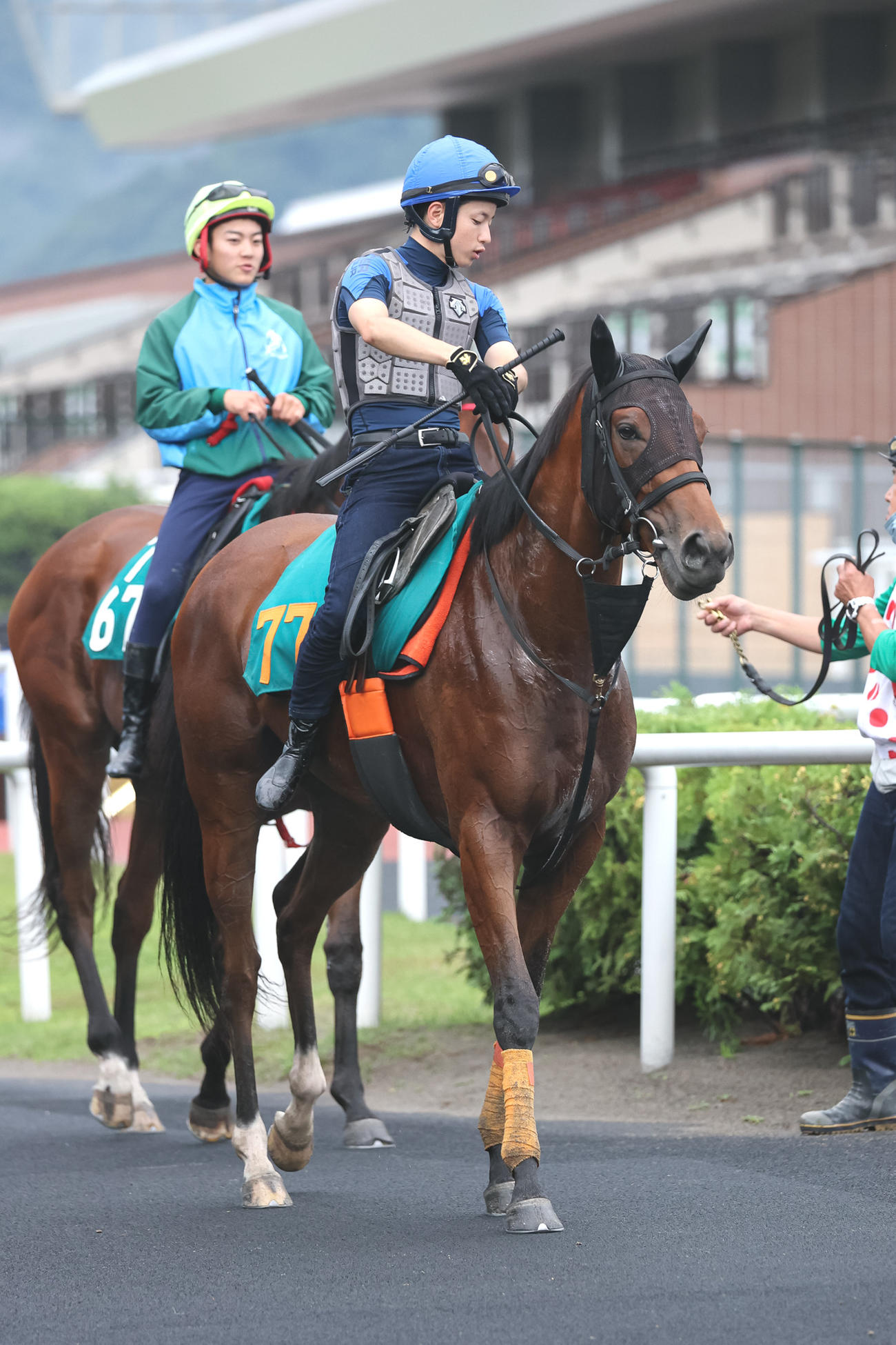 札幌で調整されるモリアーナ（撮影・村野早祐）