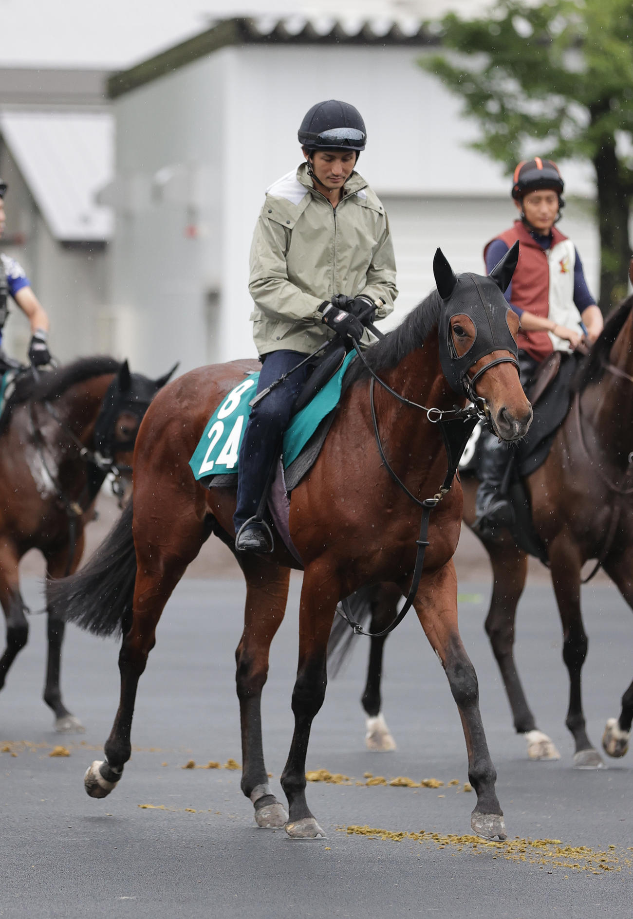 函館競馬場で調整を積むアスクメークシェア