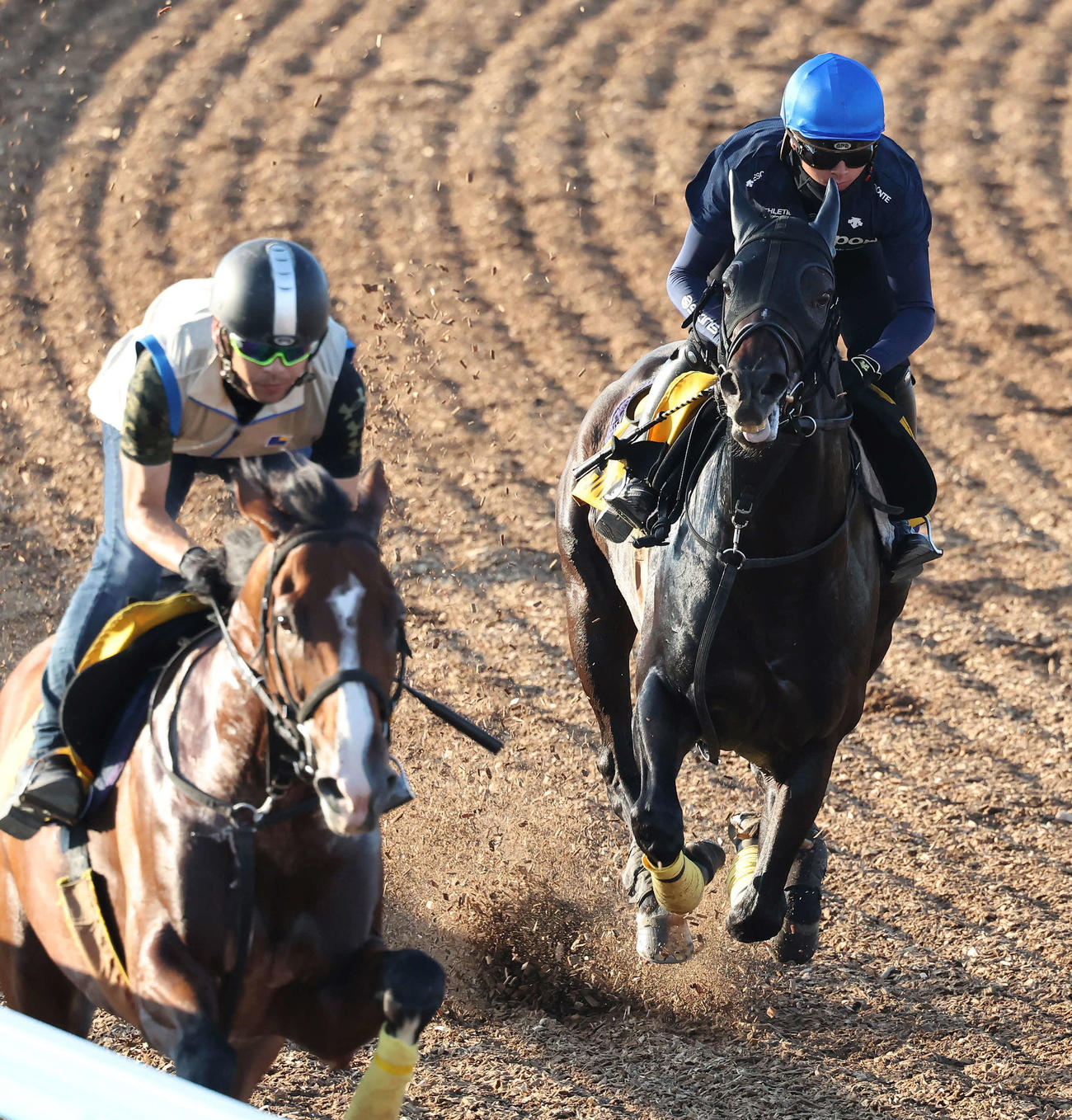 イルーシヴパンサー（右）は岩田望騎手を背に美浦ウッドで追い切られた（撮影・丹羽敏通）