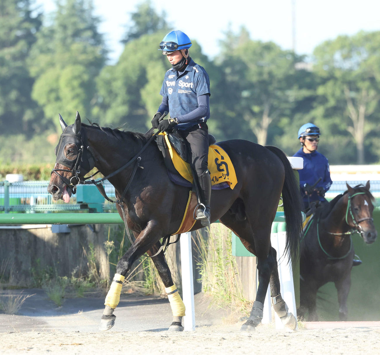 調教を終えて馬場を出るイルーシヴパンサーと岩田望騎手（撮影・丹羽敏通）