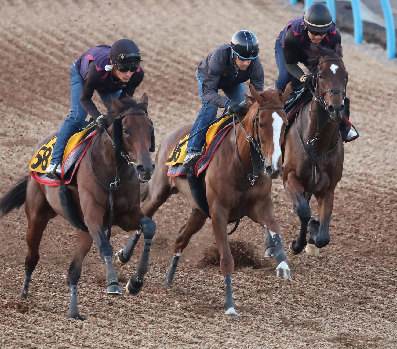 スカイグルーヴ（中央）はC・ルメール騎手を背に美浦ウッドを3頭併せで追い切られた（撮影・丹羽敏通）