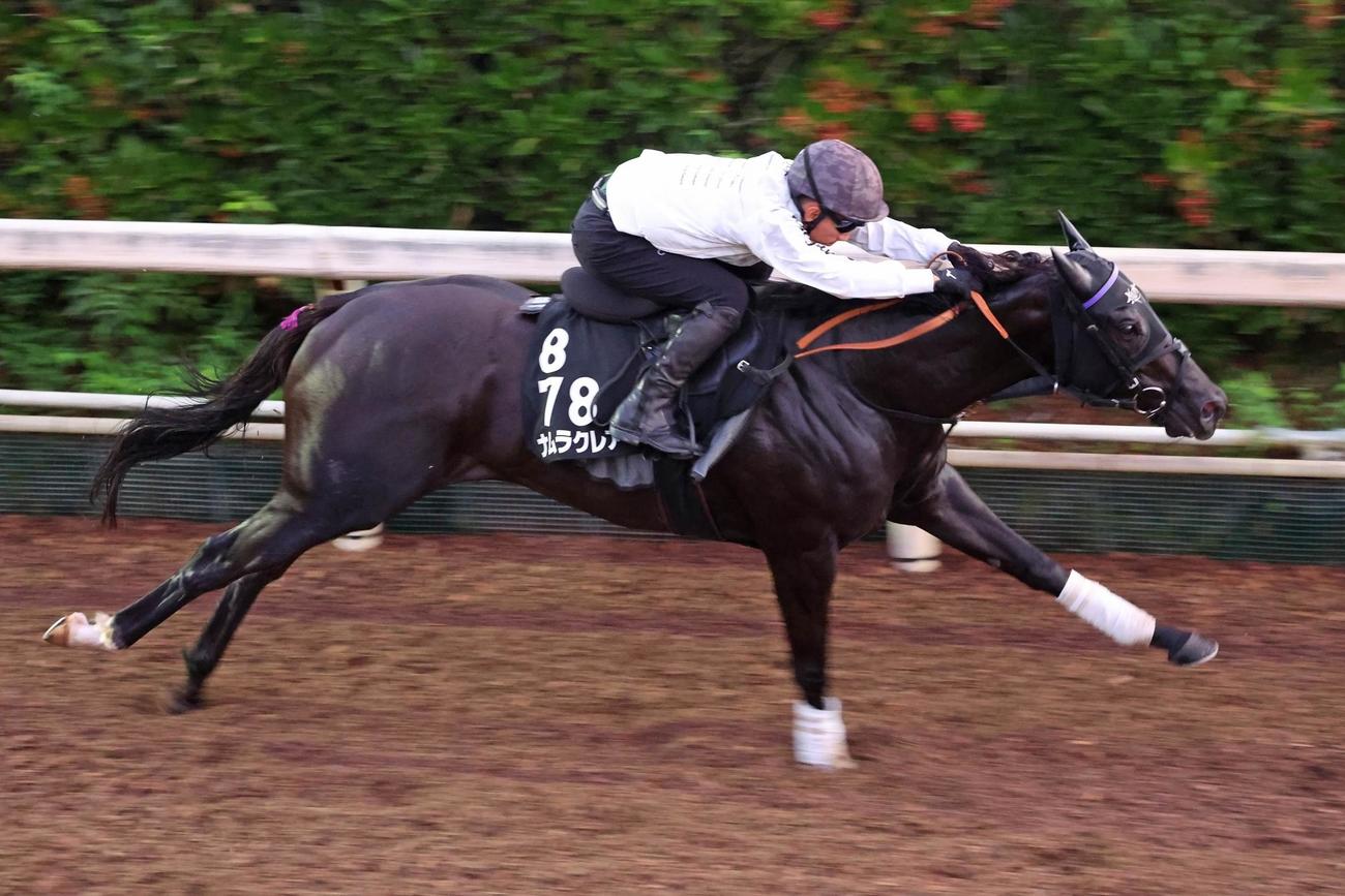 長谷川調教師自ら手綱を執り、坂路でシャープな動きを見せたナムラクレア