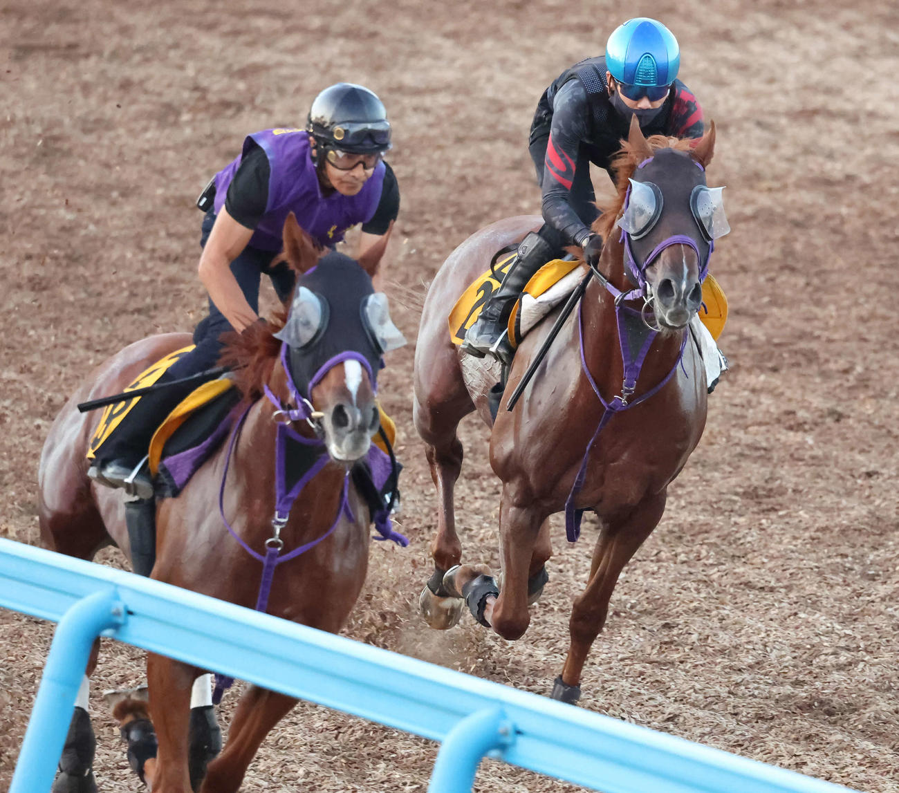 ウインカーネリアン（右）は三浦騎手を背に美浦ウッドでヴィアメントと併せて追い切られた