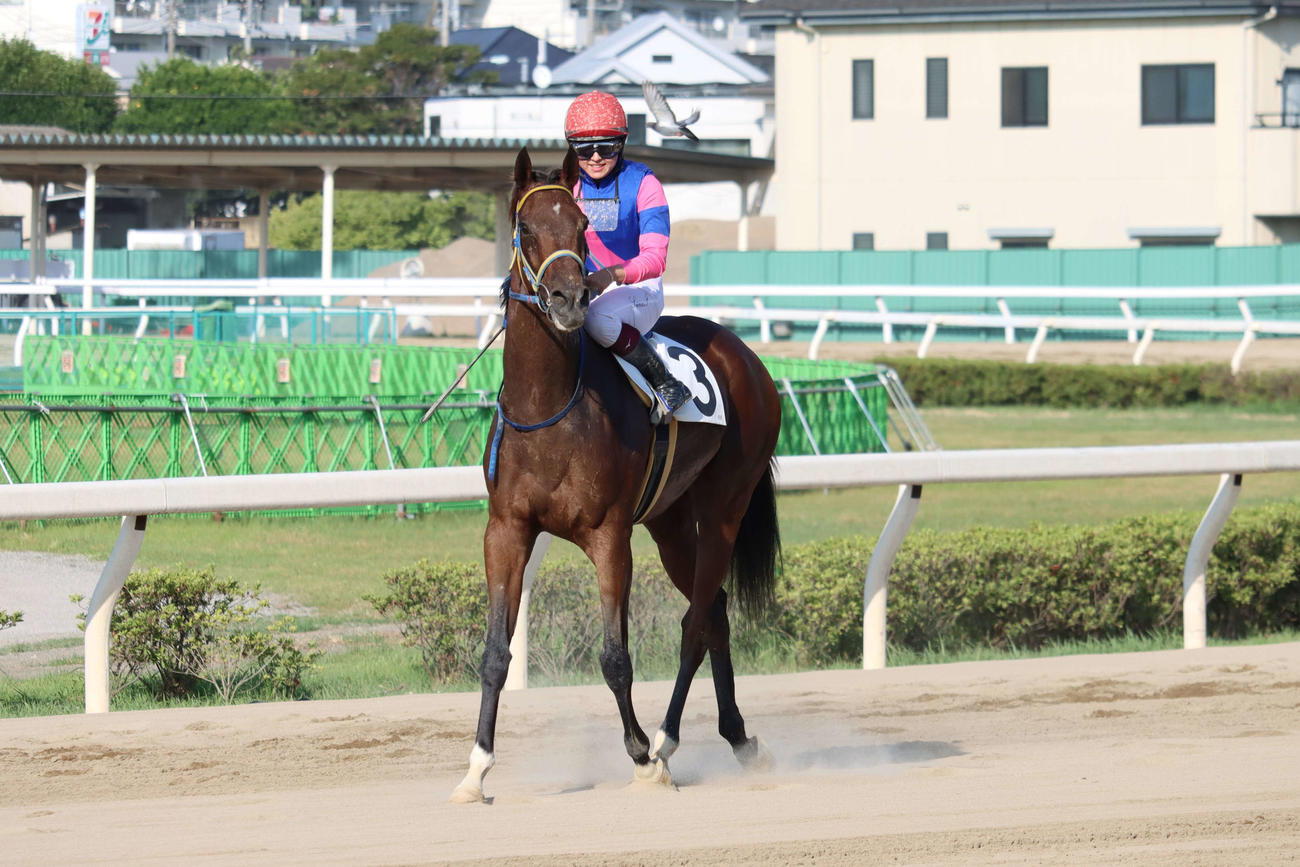 浦和9R、引き揚げてきたメイショウストームと今村聖奈騎手