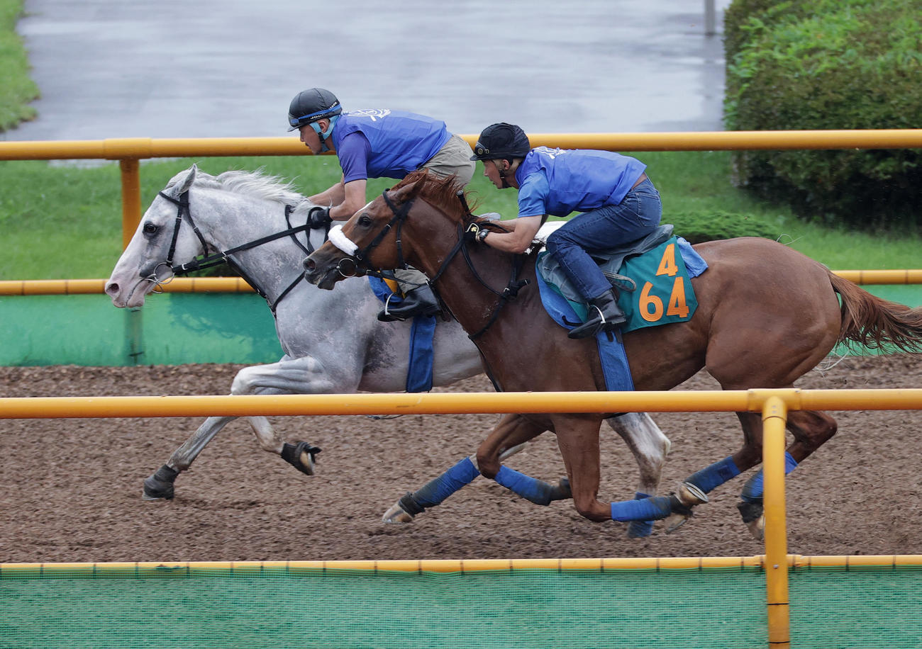 ハヤヤッコ（左）は、函館ウッドチップコースで追い切られた