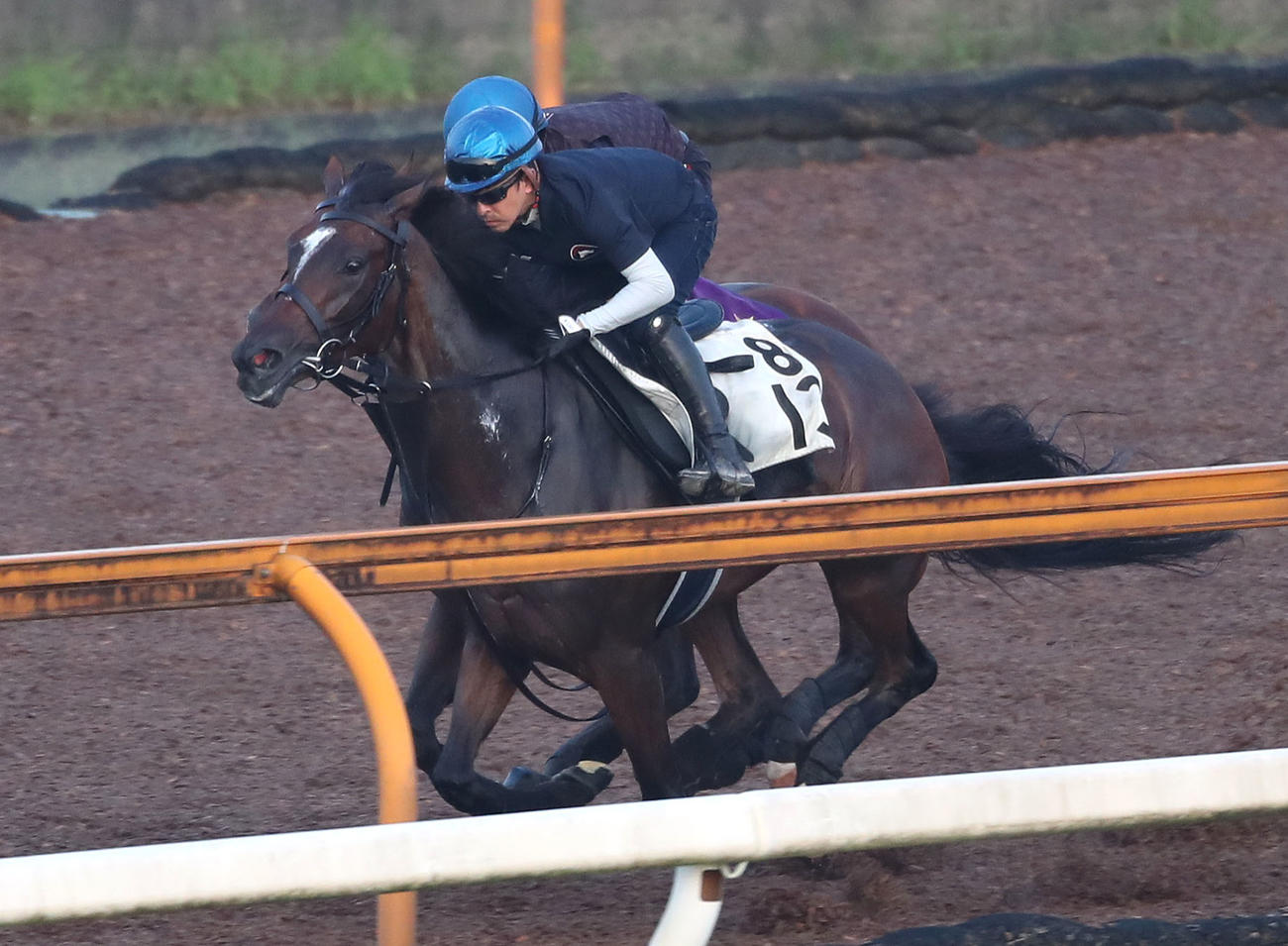ジェラルディーナは福永騎手を背にCウッドをラウダシオン（奥）と併せ馬で追い切る（撮影・白石智彦）