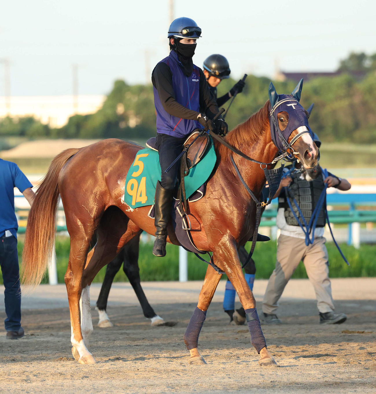 調教を終えて馬場を出るエナジーチャイム（撮影・丹羽敏通）