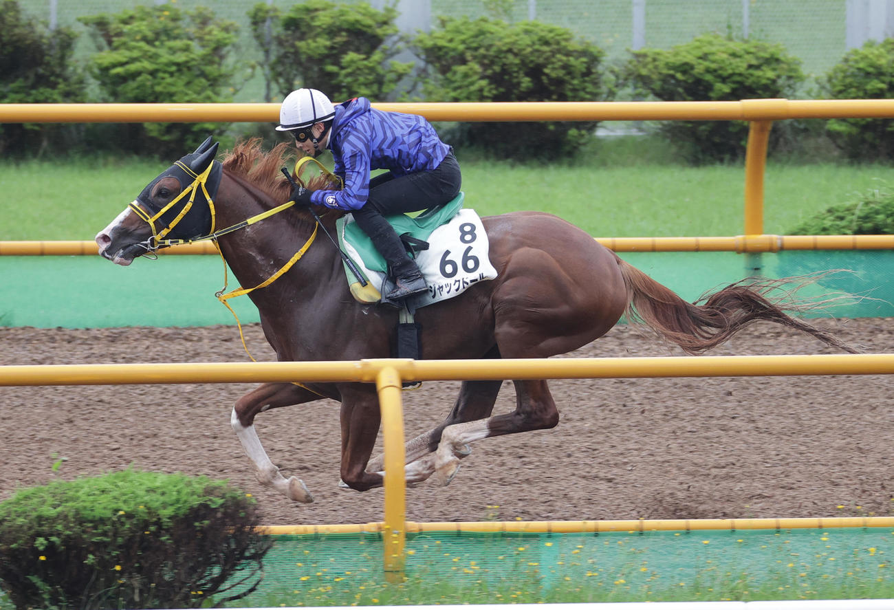 藤岡佑騎手を背に、ジャックドールは函館ウッドで追い切られる