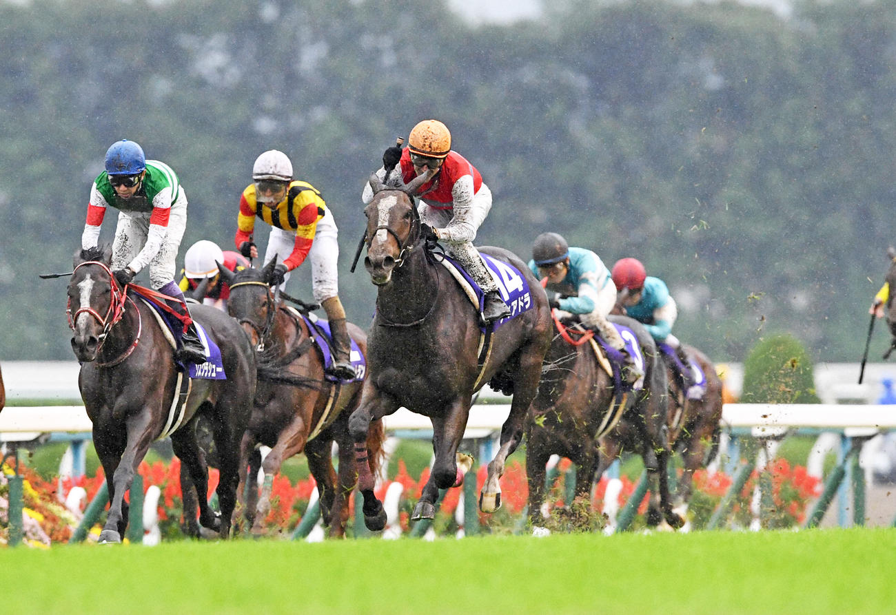 17年、秋華賞を制したディアドラ