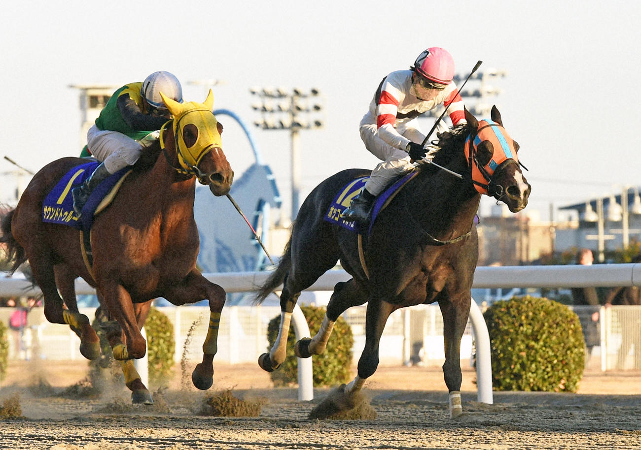 16年川崎記念を制しG1・10勝目を挙げたホッコータルマエ（右）