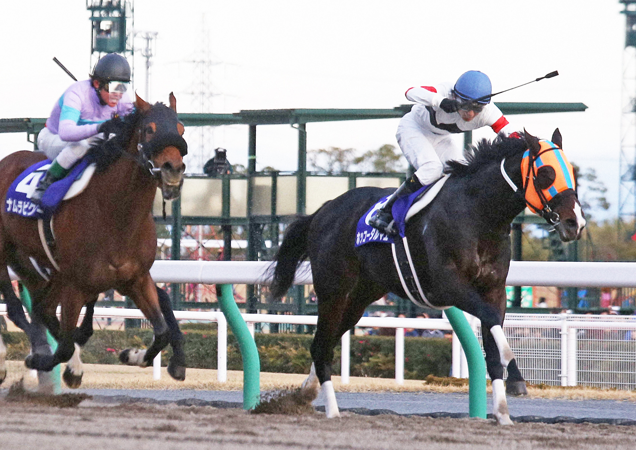 14年チャンピオンズCを制したホッコータルマエ（右）