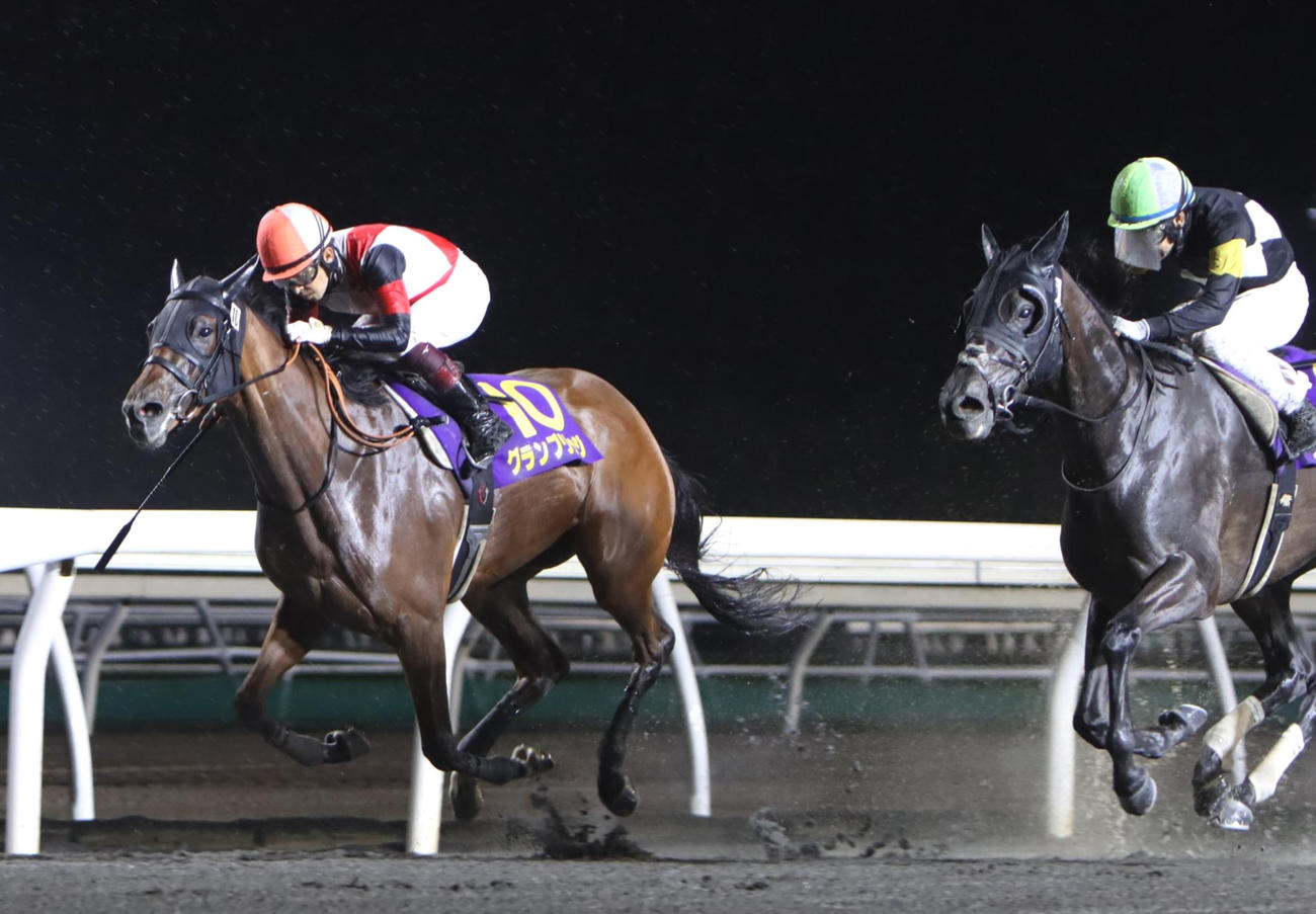 ブリーダーズGCを制し重賞2連勝を果たしたグランブリッジ（撮影・奥村晶治）