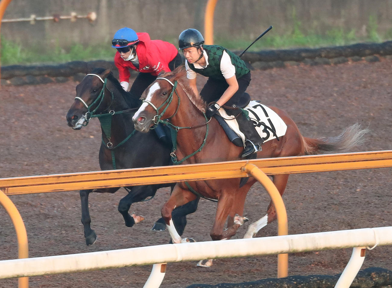 10日、松本騎手を背にCウッドをプリュムドール（右）と併せ馬で追い切るピースオブエイト