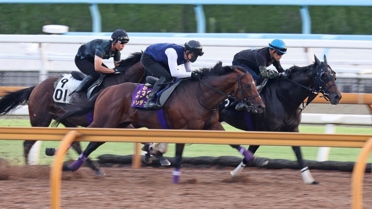 凱旋門賞制覇へ向け、3頭併せで始動したドウデュース（中央）