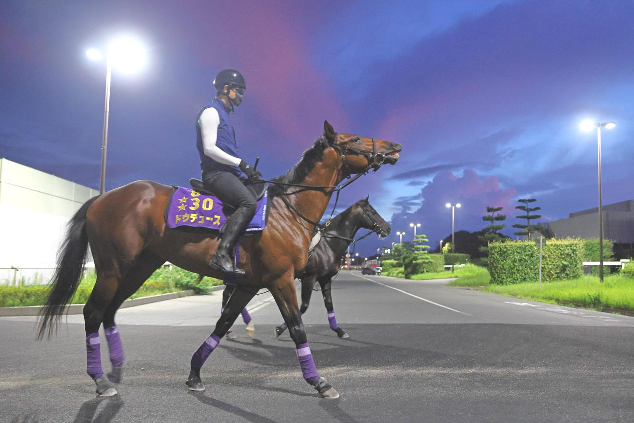 夜明け前、馬場へ向かうドウデュース
