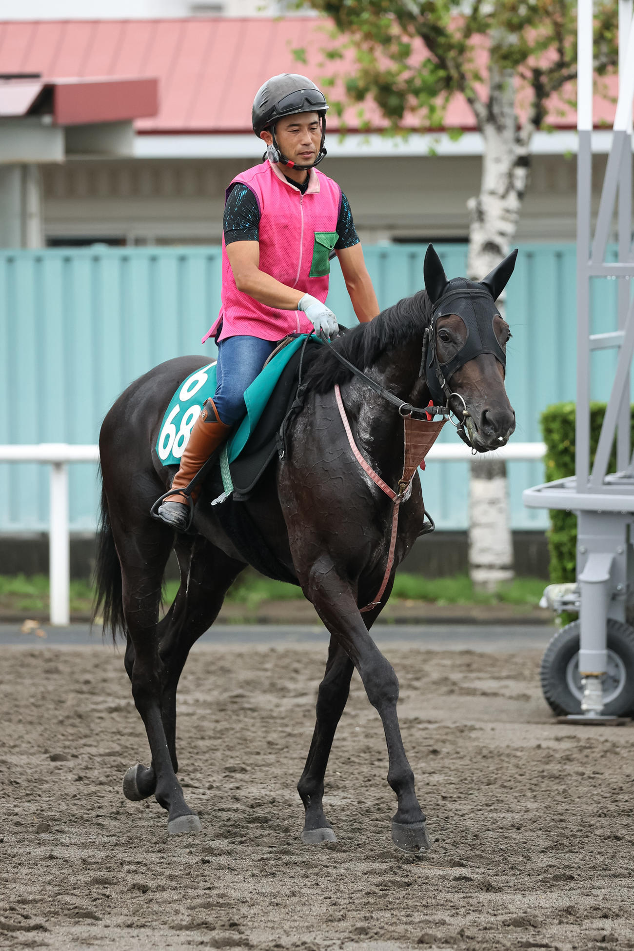 8月9日、デビューに向け札幌で調整されるヴェルデシチー