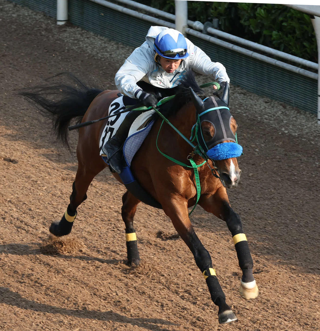デュードヴァン（2022年4月撮影）