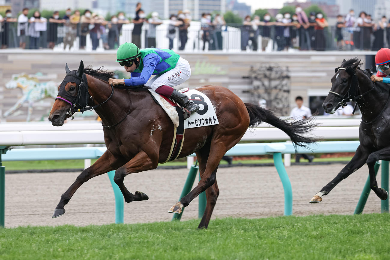 2歳未勝利を勝ち上がったトーセンウォルト（撮影・村野早祐）
