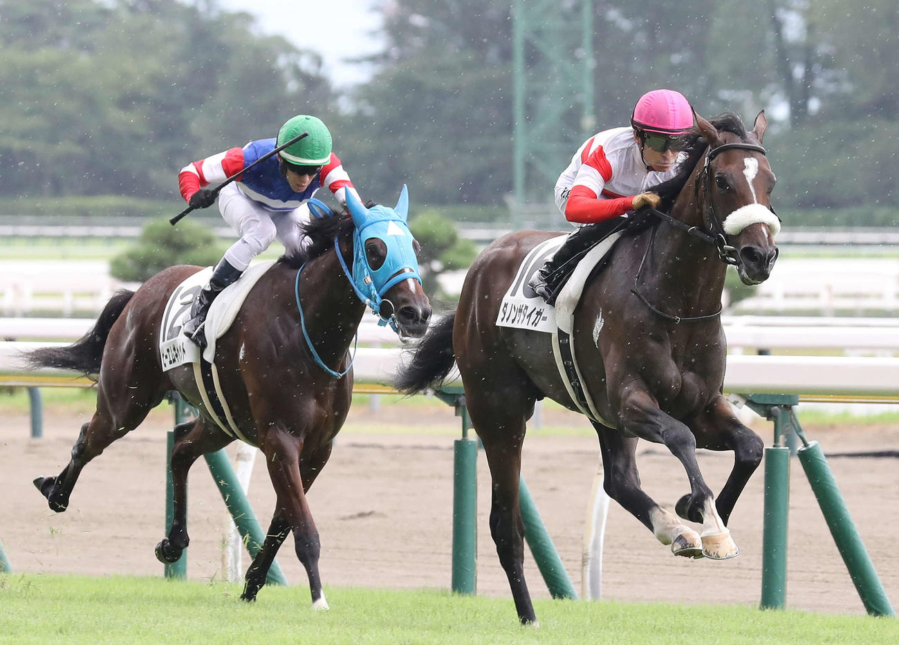新潟2R・2歳未勝利、直線でピーエムギャレット（左）を抜き去り勝利したダノンザタイガー