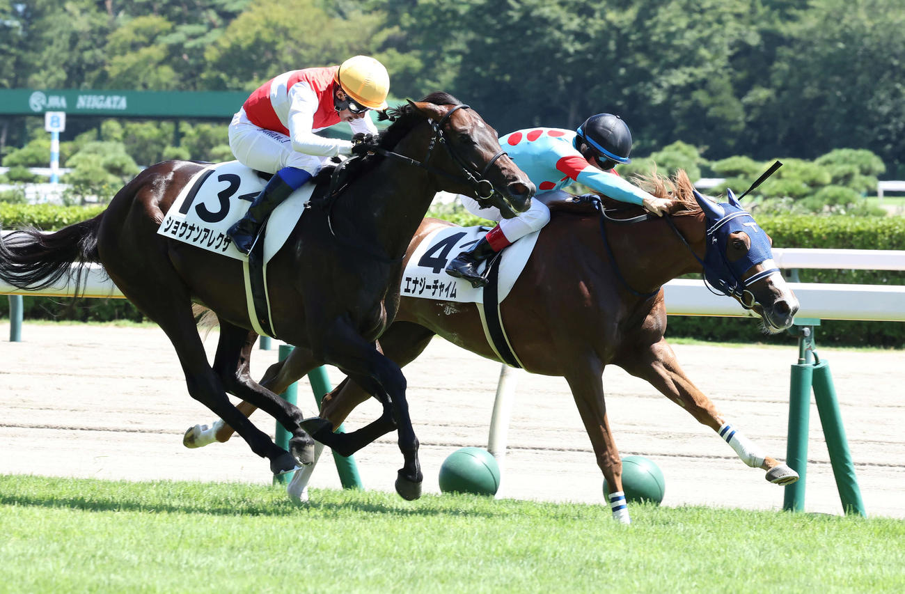新潟5R、デビュー戦を制したエナジーチャイムとルメール騎手（右）（撮影・丹羽敏通）