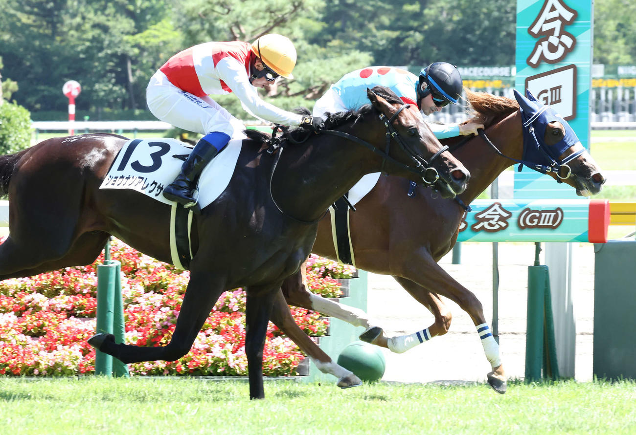 新潟5R、デビュー戦を制したエナジーチャイムとルメール騎手（奥）（撮影・丹羽敏通）