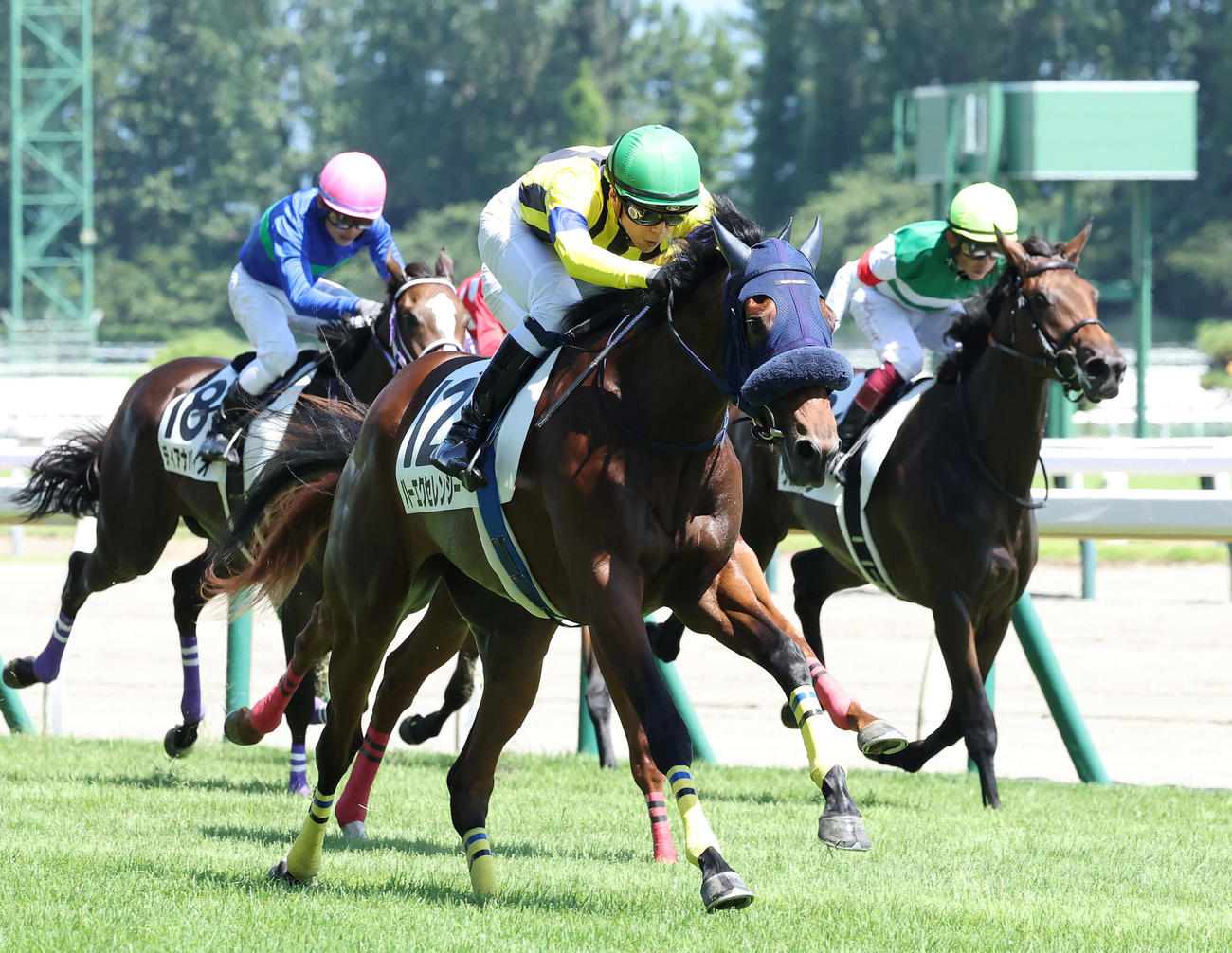 新潟6R、デビュー戦を制したハーエクセレンシーと石橋脩騎手（中央）（撮影・丹羽敏通）