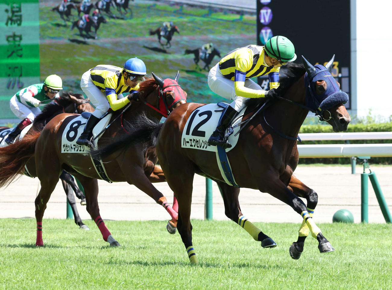 新潟6R、デビュー戦を制したハーエクセレンシーと石橋脩騎手（右）（撮影・丹羽敏通）