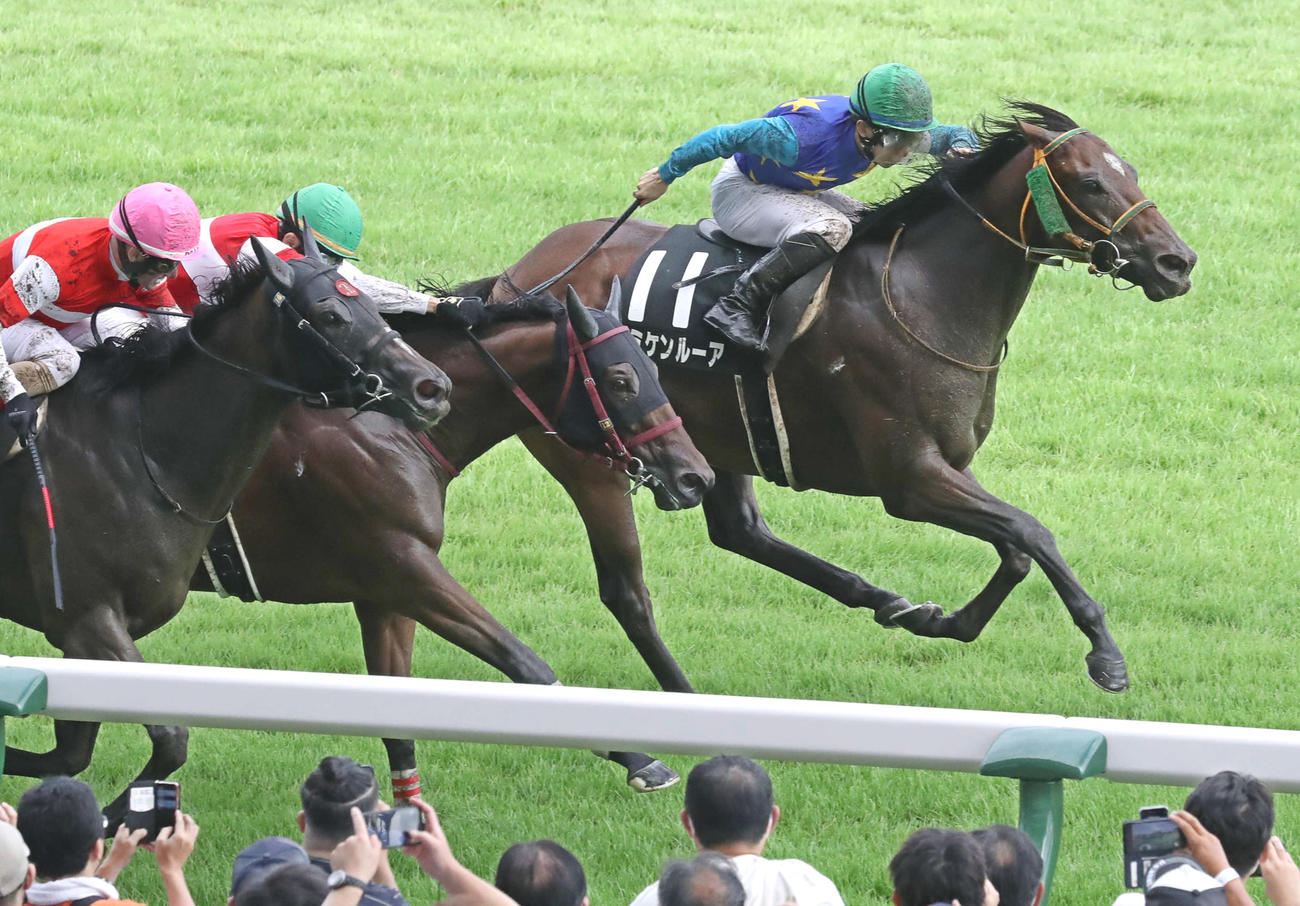 ゴール前で差し切り稲妻Sを制したトミケンルーアと木幡初騎手（右）（撮影・丹羽敏通）