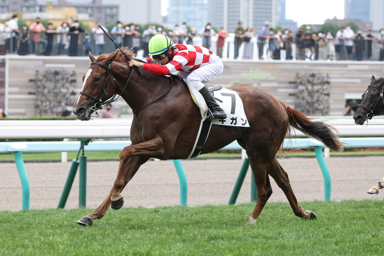 2歳未勝利を勝ち上がったキガン（撮影・村野早祐）