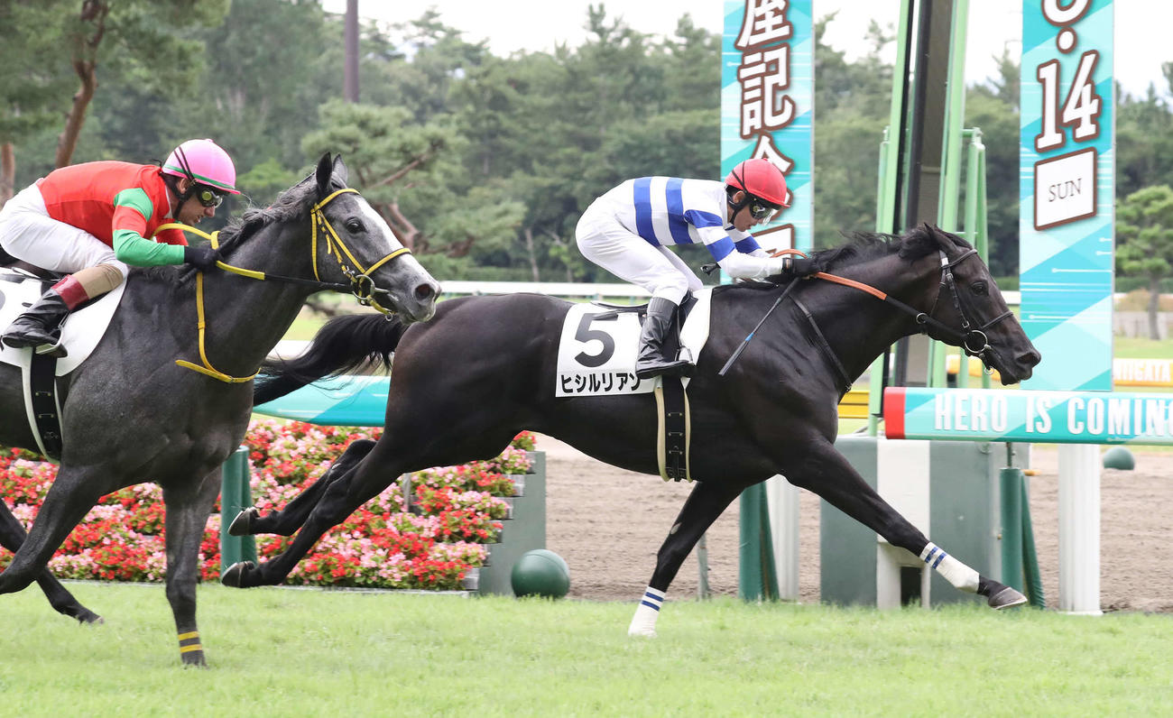 新潟5R、デビュー戦に勝利したヒシルリアンと戸崎圭太騎手（撮影・丹羽敏通）