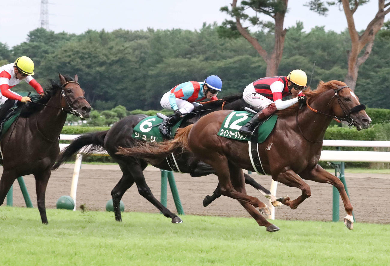 関屋記念を制したウインカーネリアンと三浦騎手（右）（撮影・丹羽敏通）