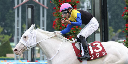 2番人気のソダシが後続の追撃を抑え重賞5勝目を飾った（2021年、札幌競馬場）