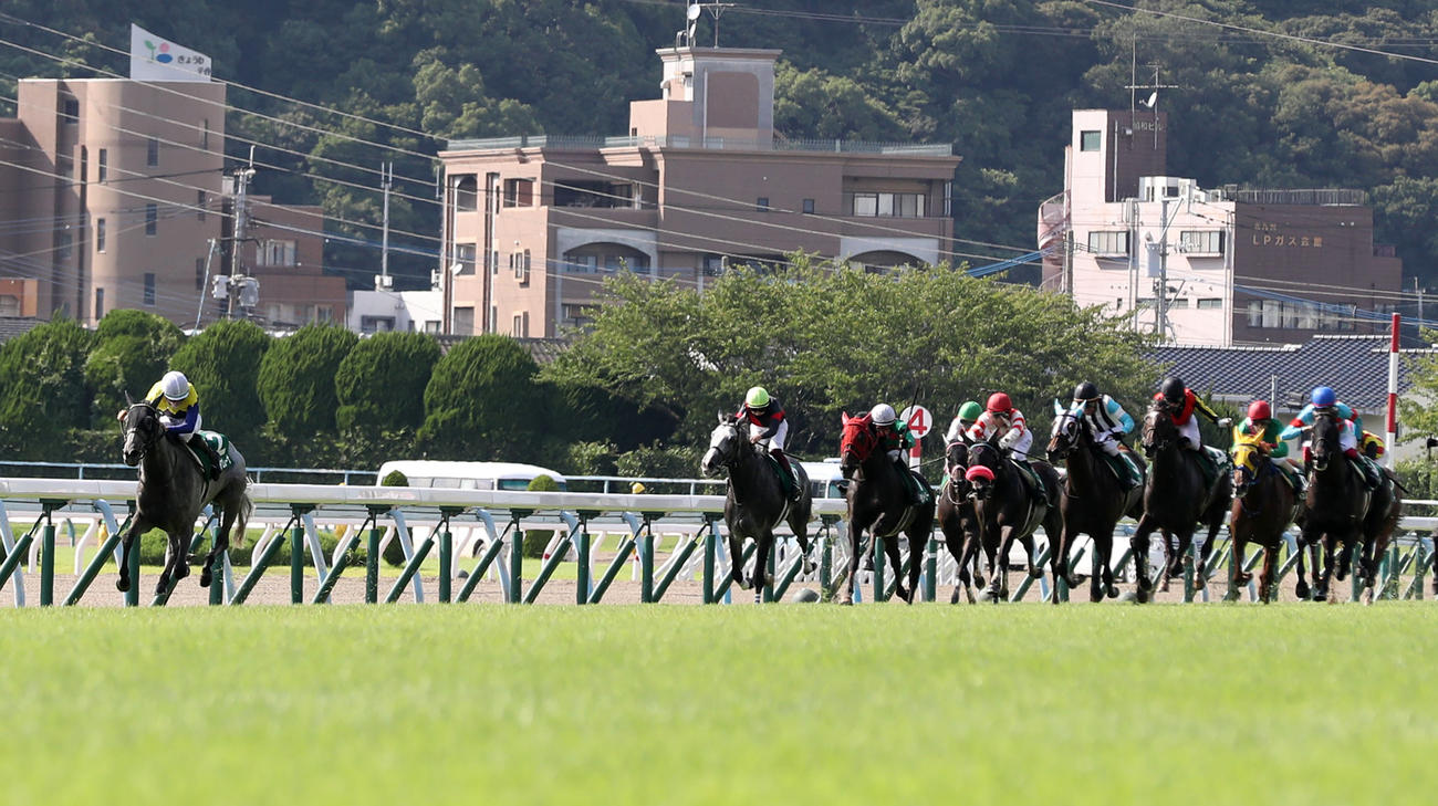 直線で後続を大きく突き放すマリアエレーナ（左）（撮影・屋方直哉）