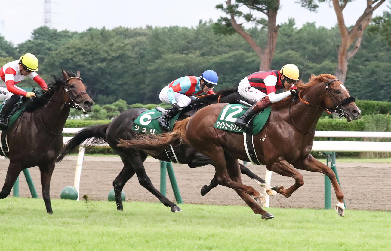 関屋記念を制したウインカーネリアンと三浦騎手（右）（撮影・丹羽敏通）
