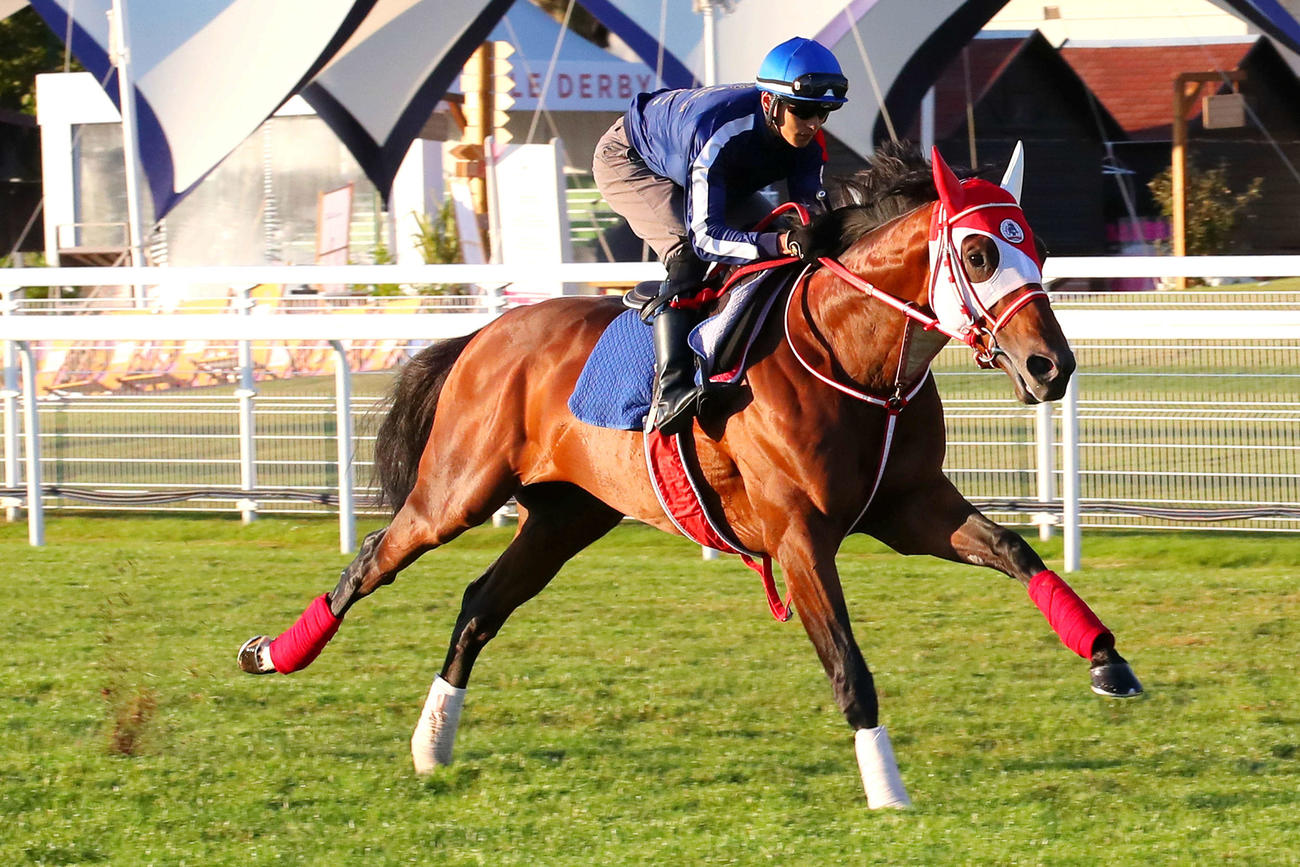 欧州転戦でジャックルマロワ賞に挑むバスラットレオン（C）Scoopdyga