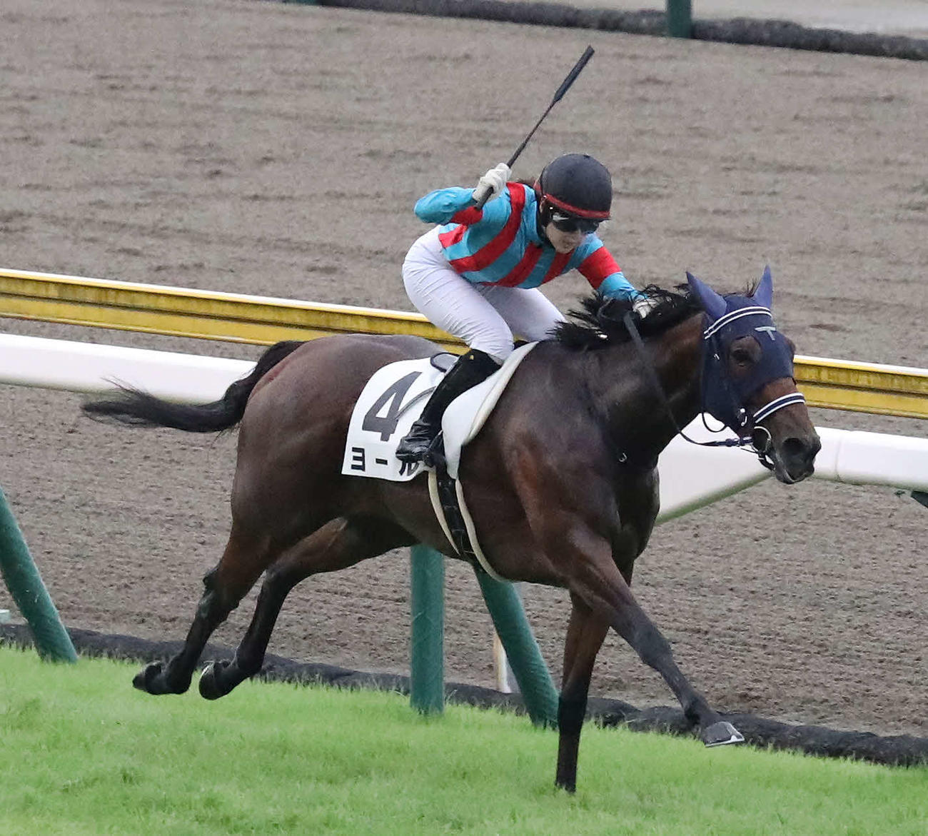 新潟12Rをヨールで逃げ切った藤田騎手（撮影・丹羽敏通）