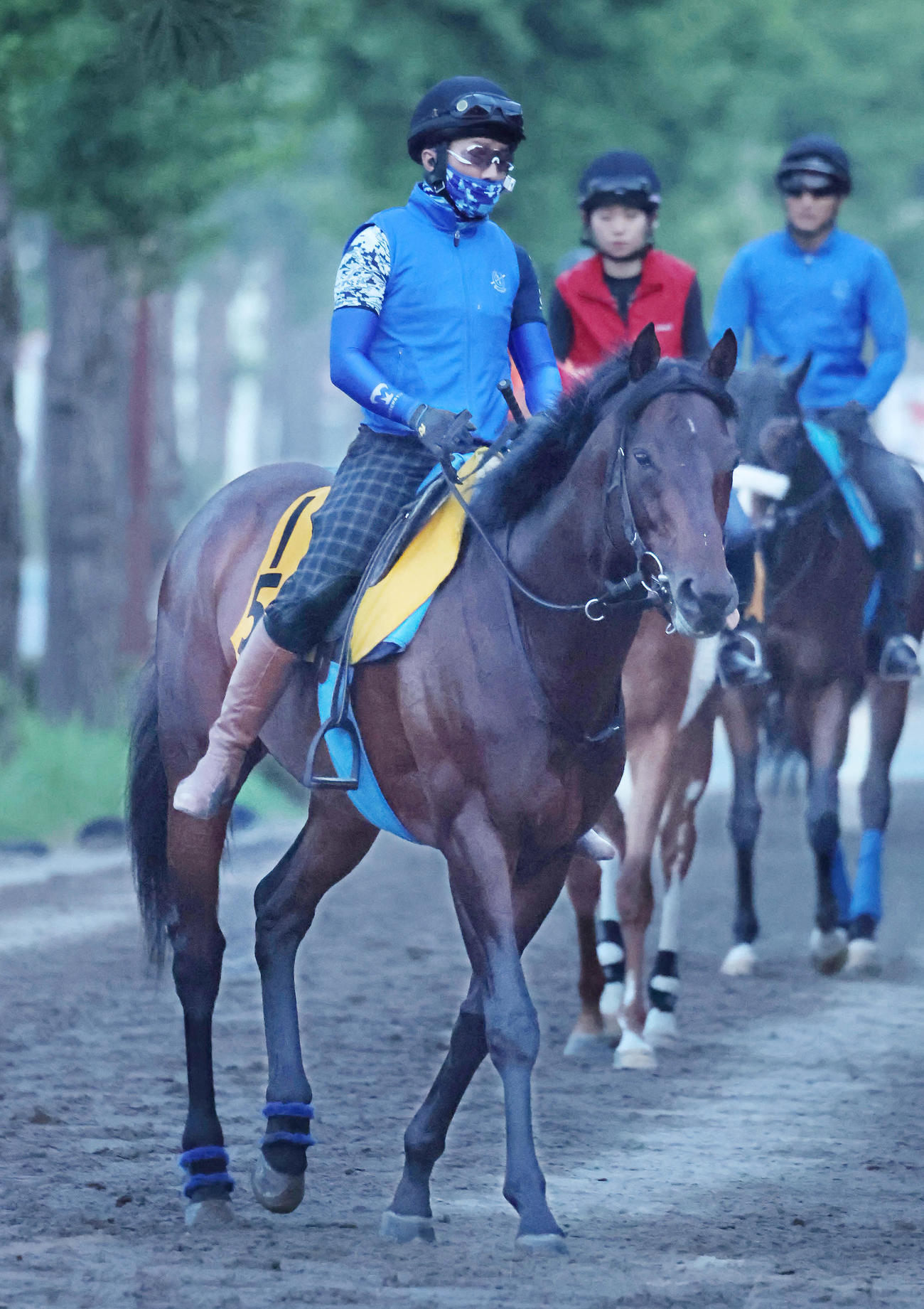 乗り運動するアンティシペイト（2022年6月29日撮影）