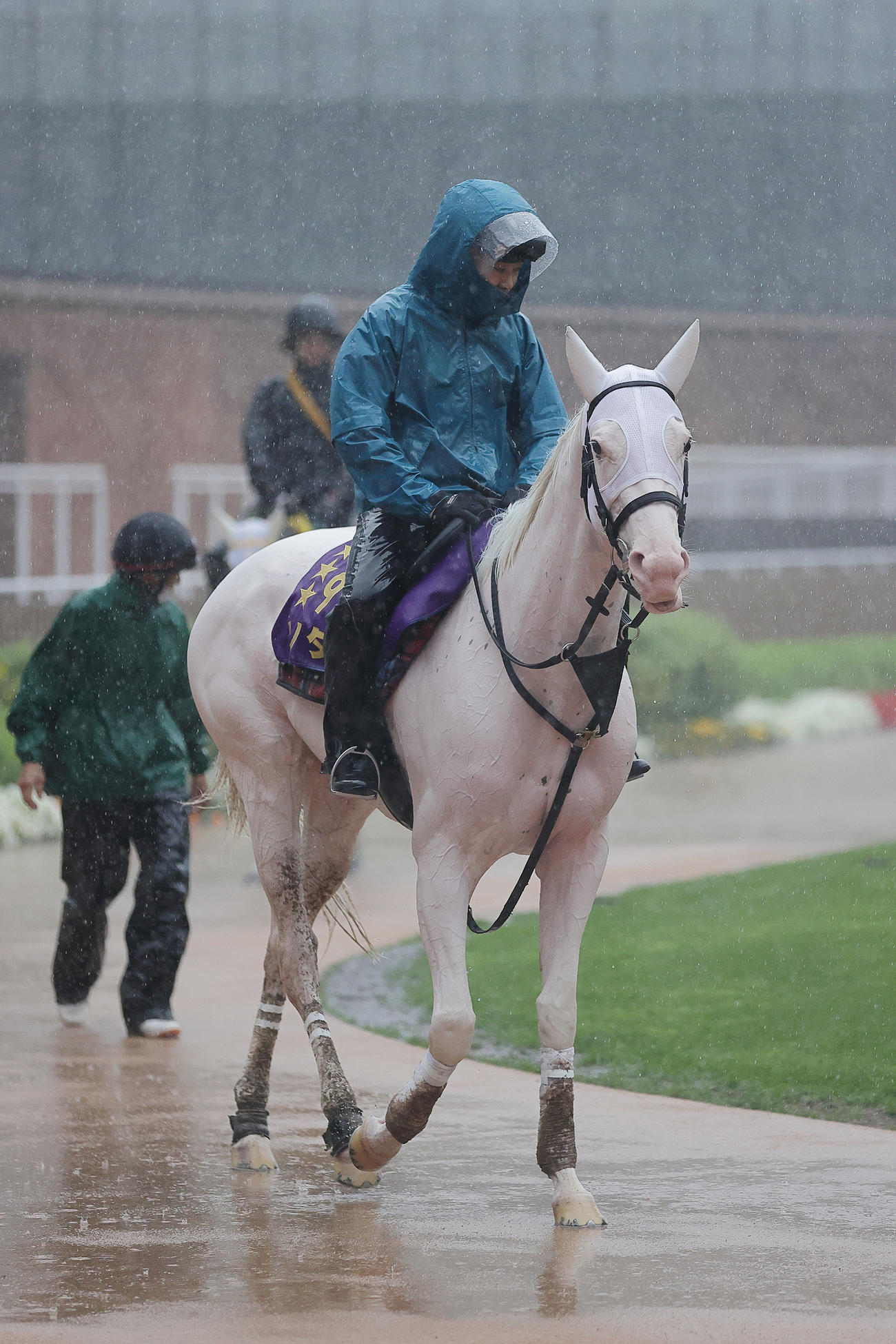 雨の函館競馬場で調教へ向かうソダシ