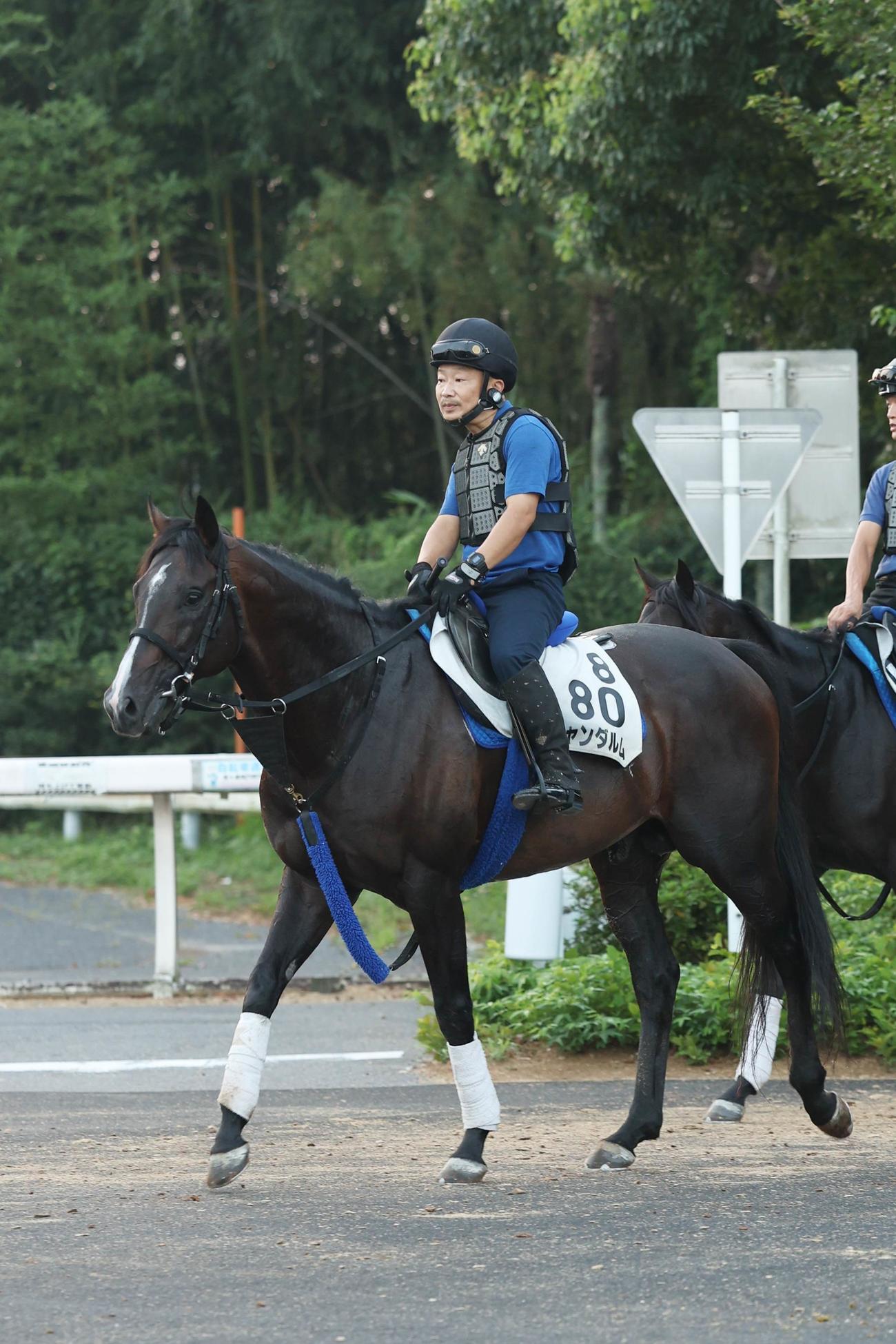 7歳馬ながら充実した馬体を誇るジャンダルム（22年8月9日撮影）