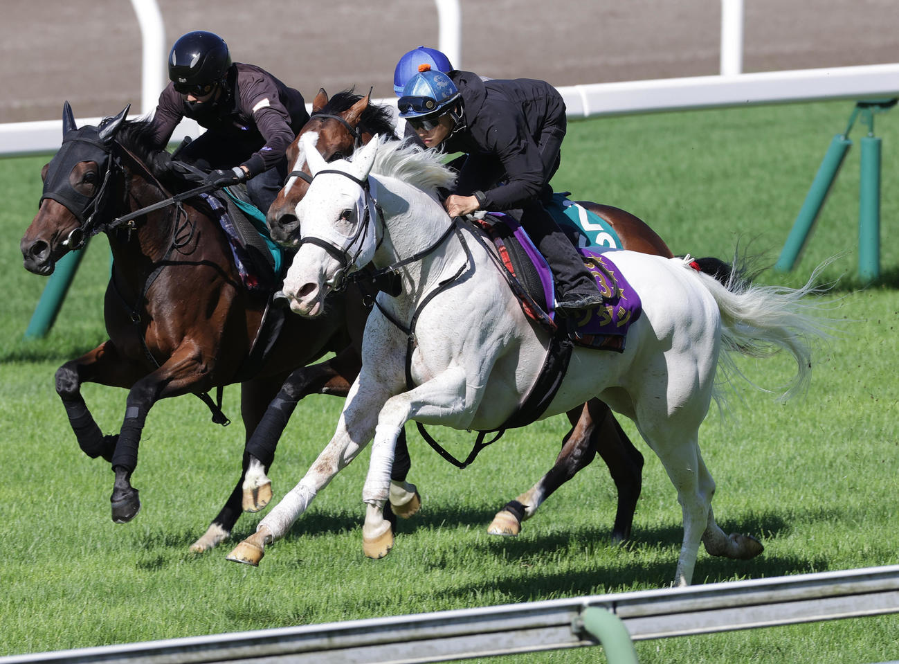 吉田隼人騎手を背に、函館芝コースで併せ馬で追い切られるソダシ（右端）