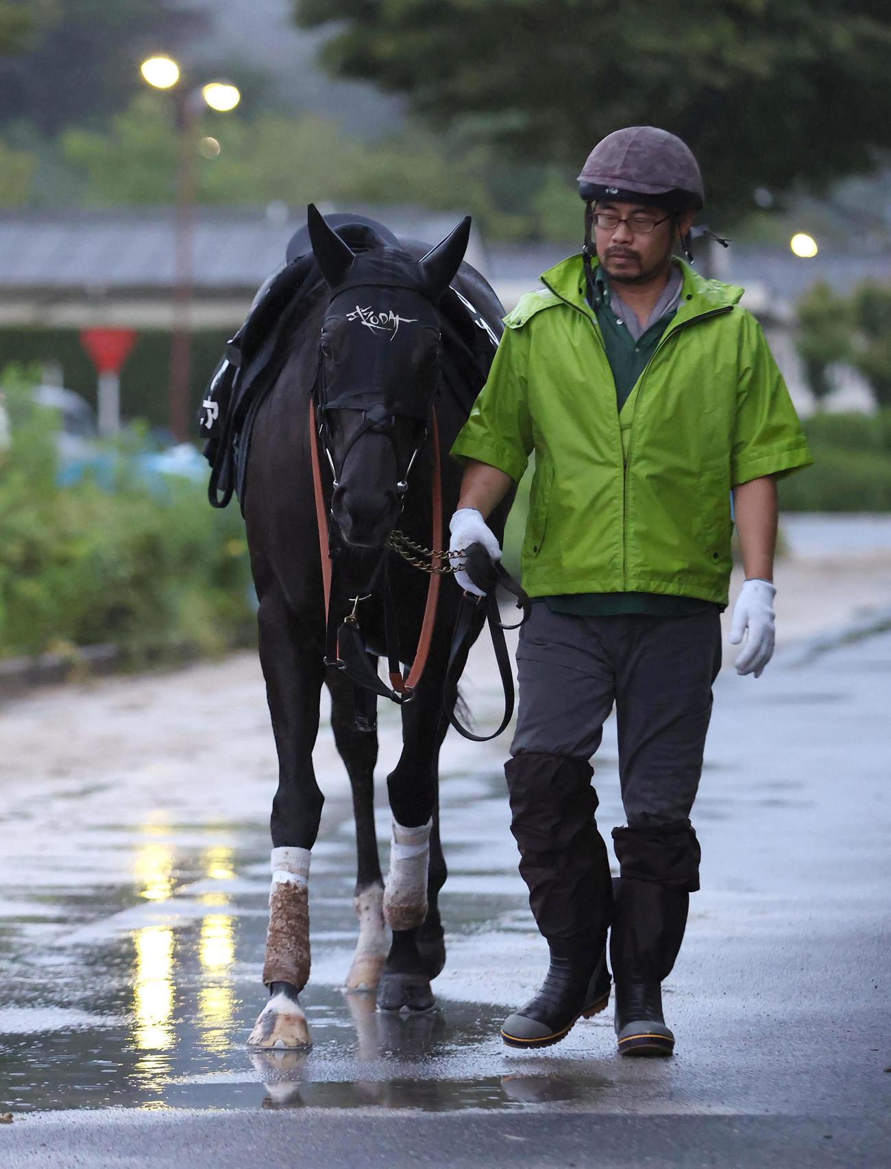 厩舎周りで運動するナムラクレア（撮影・白石智彦）