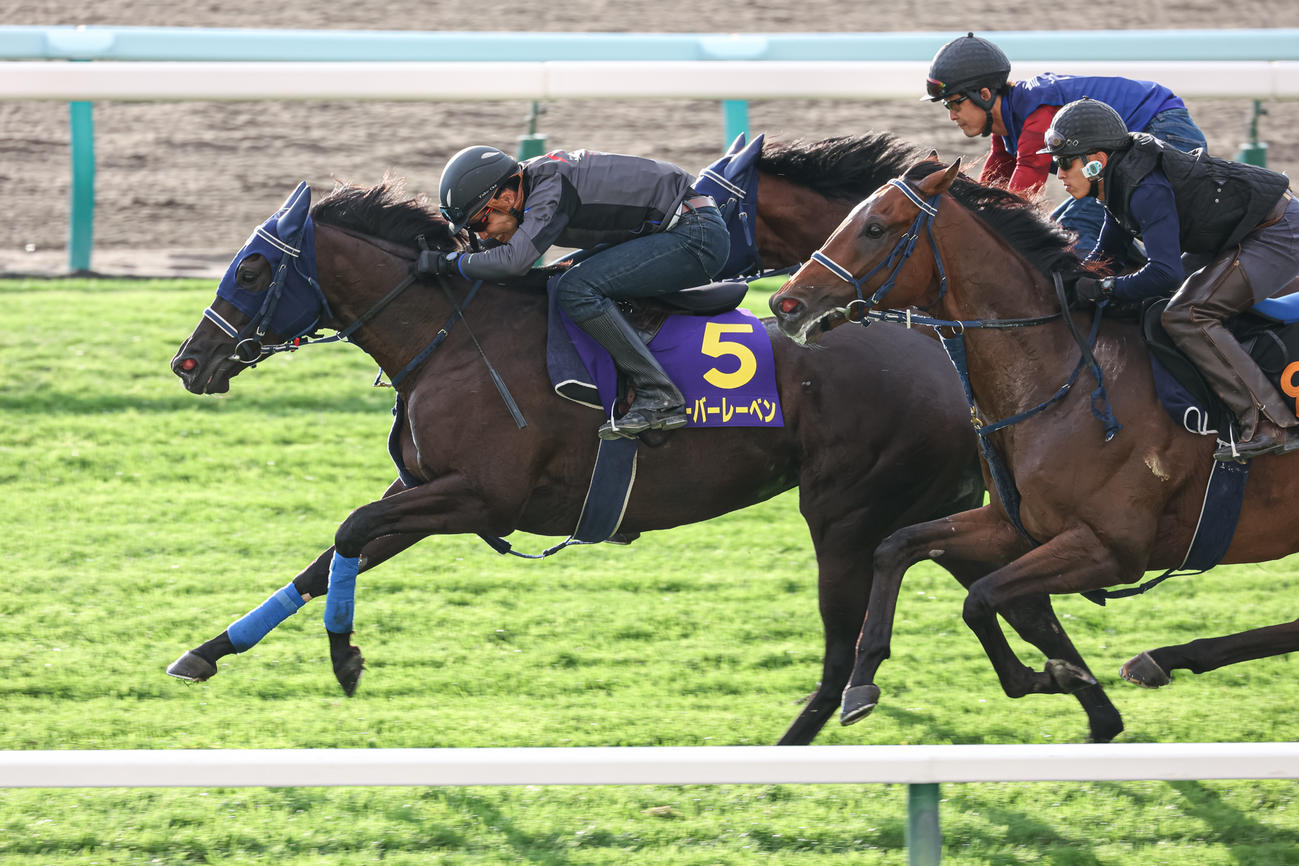 札幌芝コースで併せ馬で追い切られたユーバーレーベン（撮影・村野早祐）