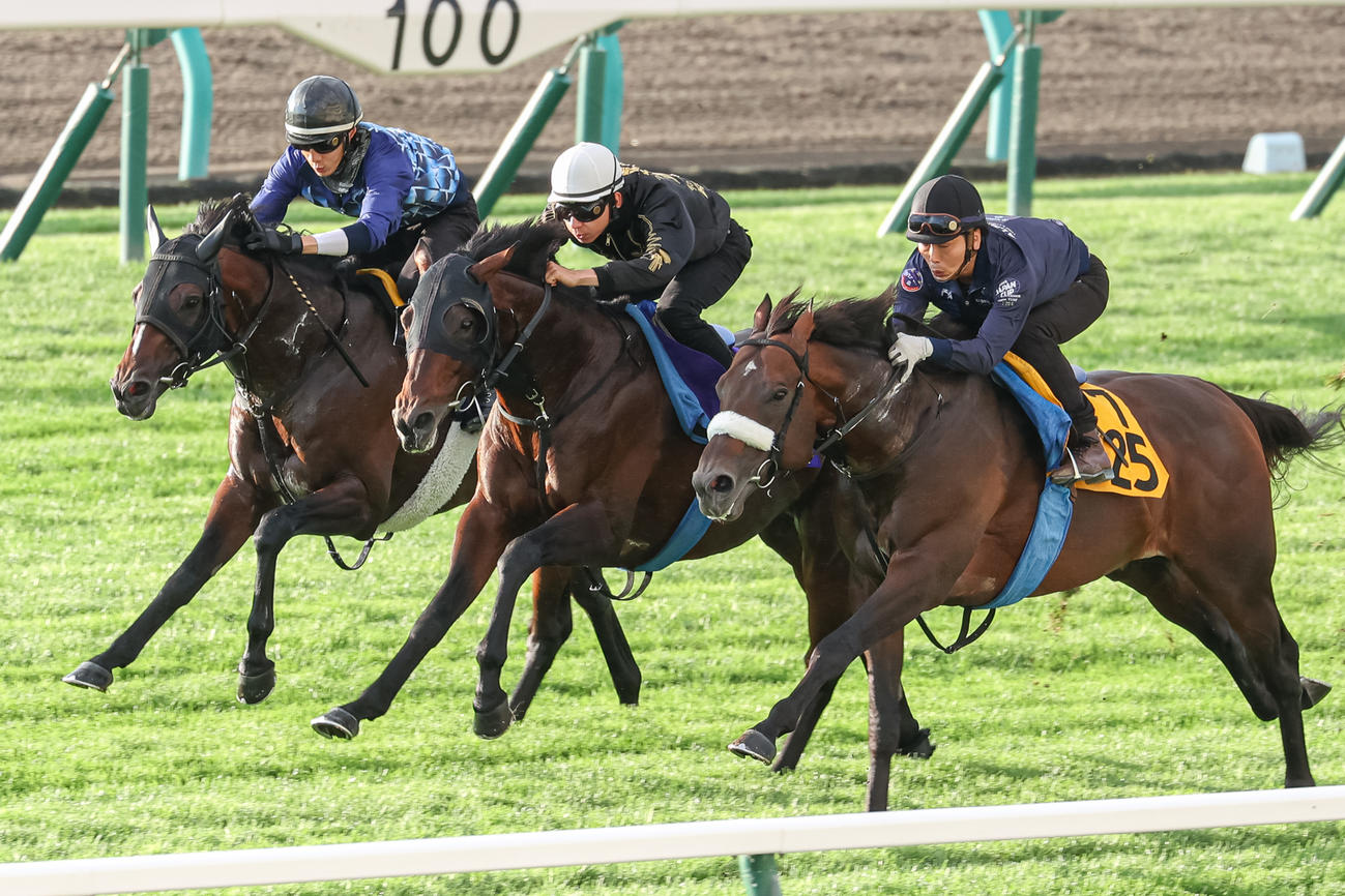 横山和騎手を背に札幌芝で併せ馬で追い切られるアンティシペイト（中）（撮影・村野早祐）