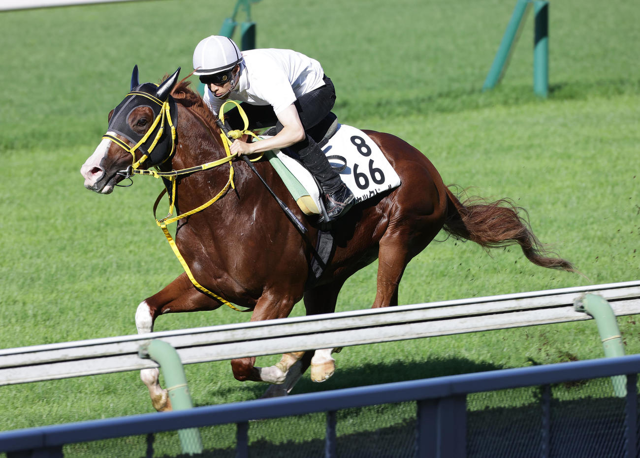 藤岡佑介騎手を背に、函館芝コースで追い切られるジャックドール
