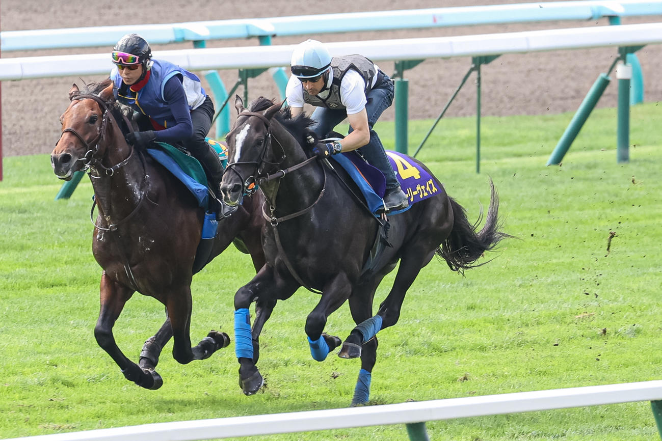 ルメール騎手を背に札幌芝で併せ馬で追い切られるグローリーヴェイズ（右）（撮影・村野早祐）