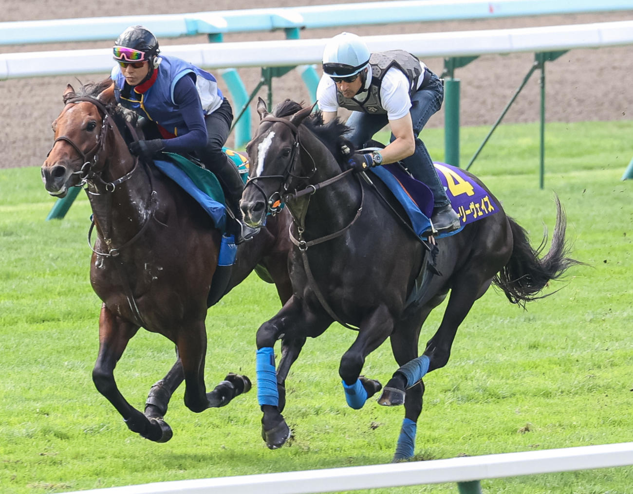 ルメール騎手を背に札幌芝で併せ馬で追い切られるグローリーヴェイズ（右）（撮影・村野早祐）