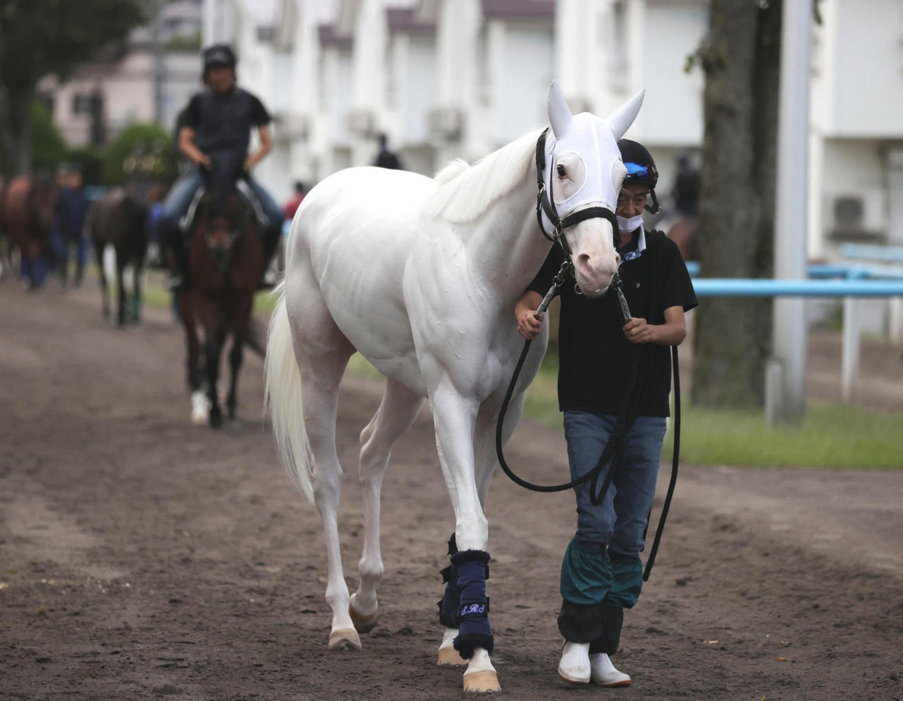 函館競馬場で調整を積むソダシ