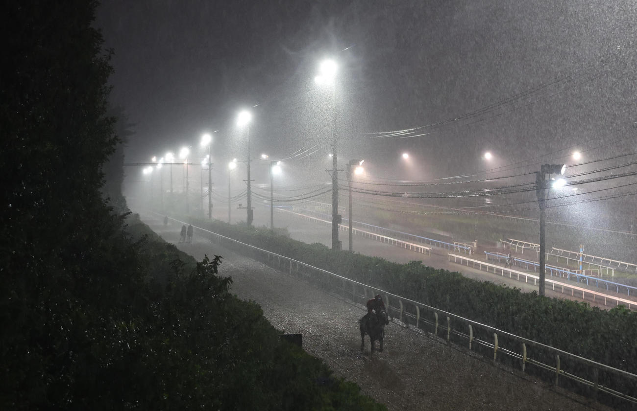 豪雨の坂路を駆け上がる競走馬（撮影・白石智彦）