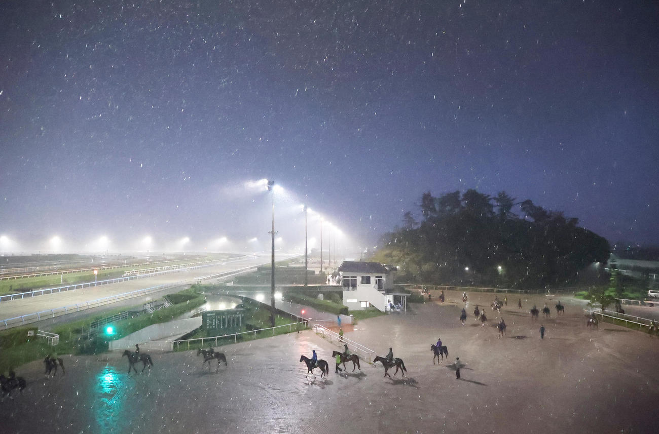 豪雨と雷鳴とどろくの中、調教に向かう馬たち