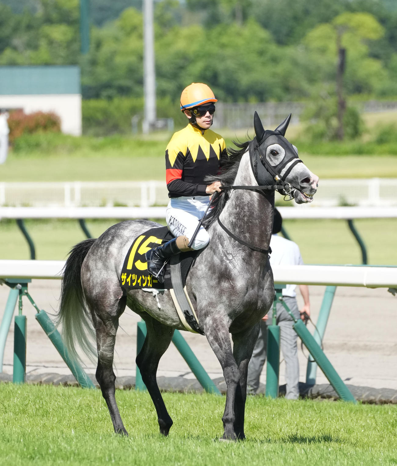 5月29日、安土城S14着のザイツィンガー
